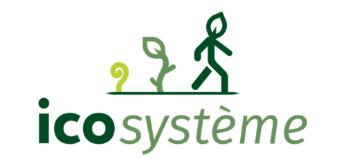 Icosysteme